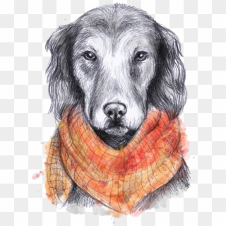 #freetoedit #dog #scarf #pet # Fall #drawn #watercolor - Drawing, HD Png Download