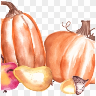 Fall Festival - Gourd, HD Png Download