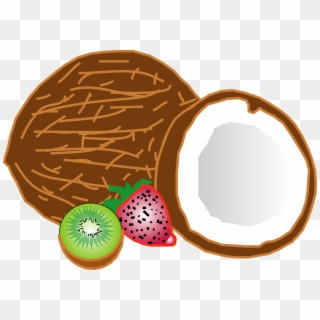 Frutas, Tropicales, De Coco, Kiwi, Fresco, Saludable - Cartoon Coconuts, HD Png Download