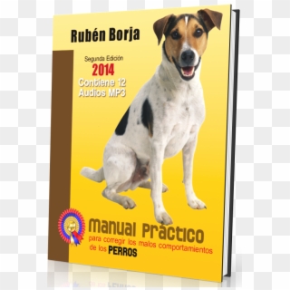 Libro-mpcmcdlp - Companion Dog, HD Png Download