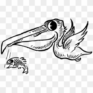 Pelican Flying Fish Dropping Bird Fly Food Beak - Fish And Birds Clipart Black And White, HD Png Download
