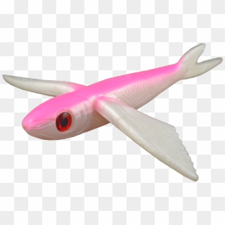 Home / Fatboy Flying Fish - Flying Fish Pink, HD Png Download