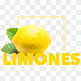 Limones Ecológicos - Lemon, HD Png Download