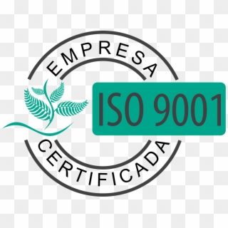 Iso 9001 Png Verde, Transparent Png - 1215x904(#4252669) - PngFind