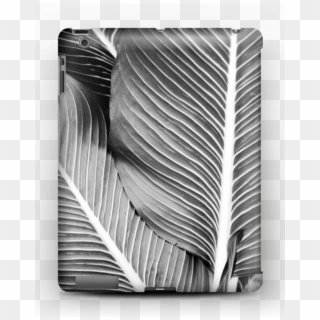 Black & White Leaves Case Ipad - Banana Palmtree Leaf, HD Png Download