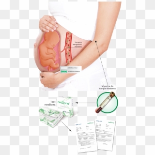 Test Adn Fetal En Sangre Materna, HD Png Download