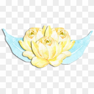 Free Watercolor Flower Clusters - Sacred Lotus, HD Png Download