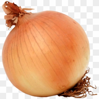 Cebolla - Soviet Onion, HD Png Download