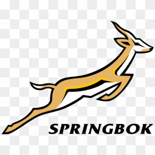 Match Drawing Rugby - Springbok Rugby Logo Vector, HD Png Download