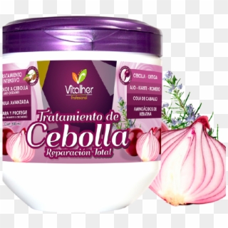 02 Producto 02 - Red Onion, HD Png Download