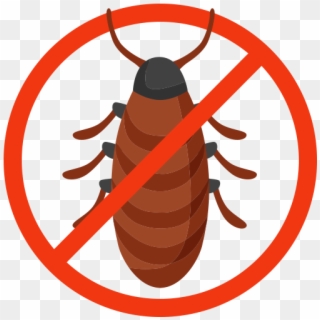 Transparent Png