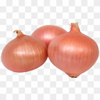 Agrocuna Daimiel Cebollas - Red Onion, HD Png Download