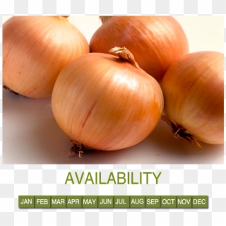 Request Information - Yellow Onion, HD Png Download