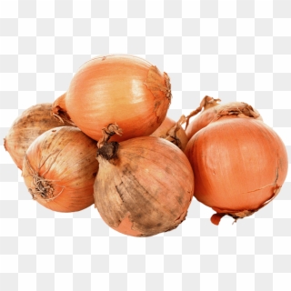 Message - 8 Onions, HD Png Download