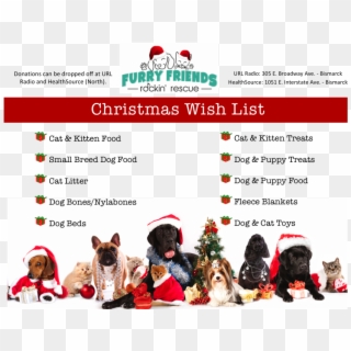 Christmas Wish List - Holiday Pet, HD Png Download