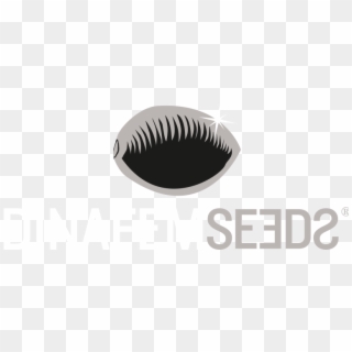Dinafem Seeds Is A Seed Bank That Trades Internationally - Dinafem, HD Png Download