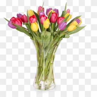 Lindo Arreglo De 30 Tulipanes En Florero De Vidrio - Sprenger's Tulip, HD Png Download