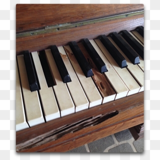 Tunes On A Tropical Piano - Musical Keyboard, HD Png Download