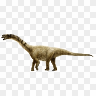 Sauropod Png Picture - Imagen De Un Camarasaurus, Transparent Png