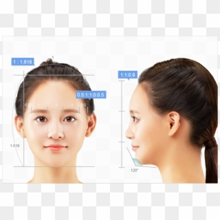 Completion Of Baby Face, Golden Ratio - Facial Contouring Ratio Surgery, HD Png Download