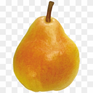 Pear Png Free Download - Pear Png, Transparent Png