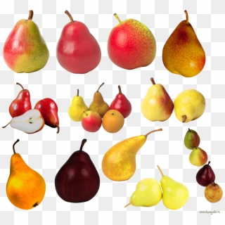 Pears Clipart Png Image - Pear, Transparent Png