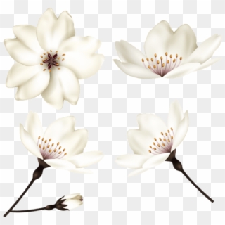 Download Spring Flowers Png Images Background - Artificial Flower, Transparent Png