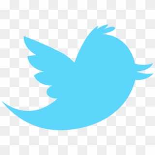 Twitter Transparent Png Image - Twitter Logo, Png Download