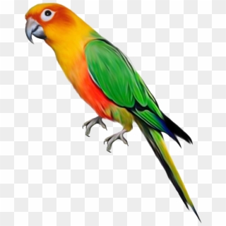 Parrot Png File - Parrot Png, Transparent Png