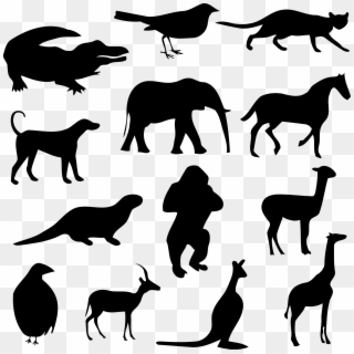 Animal Silhouettes 3 Icons Png - Animals Silhouette Png, Transparent Png