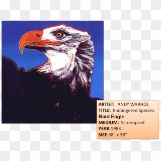 3rd Grade At Eagle Mountain Just Soared To New Heights - Bald Eagle Print Andy Warhol, HD Png Download