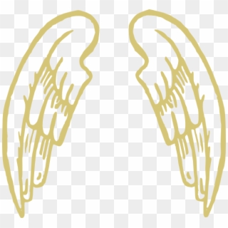 Golden Snitch Wings Clipart - Cartoon Angel Wings Png, Transparent Png