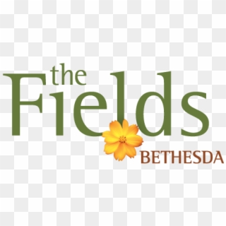 The Fields Of Bethesda - 国际 商 报, HD Png Download