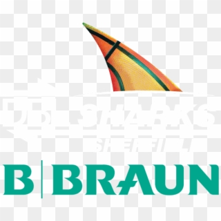 Logo - B Braun, HD Png Download