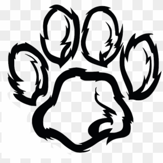 Wildcat Png, Transparent Png