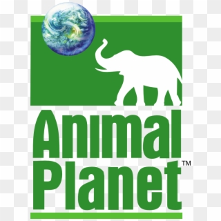 Animal Planet Channel Logo Png - Animal Planet Logo 2017, Transparent Png