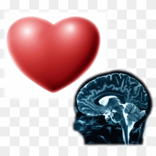 “the Heart Has Its Reasons Which Reason Knows Not Of - Neuron Brain, HD Png Download