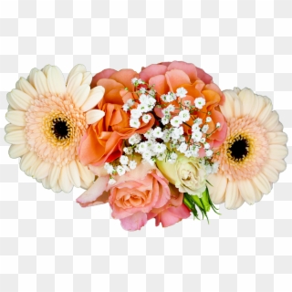 Isolated Cut Out Transparent Cluster Summer Roses - Transparent Png Gerbera, Png Download
