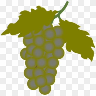 Small - Bunch Of Grapes Clipart, HD Png Download
