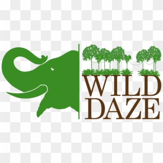 Wild Daze, HD Png Download