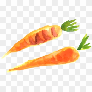 Carrot, HD Png Download