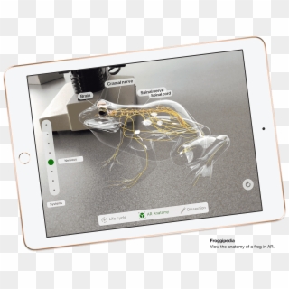 Enjoy The Magical Experience Of Augmented Reality With - Ipad, HD Png Download