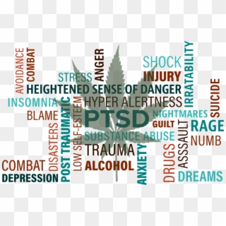 Cbd May Be The Most Effective Medicine For Ptsd - Complex Ptsd, HD Png Download