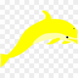 Dolphin Yellow, HD Png Download