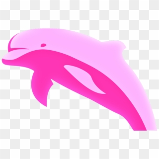 Delfãn-rosado - Amazon River Dolphin Cartoon, HD Png Download
