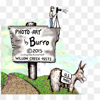 Photo-art By Burro - Cartoon, HD Png Download