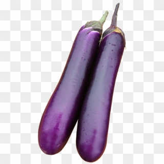 Average Fruit Length Abouth 35-40cm Sets Endurance - Eggplant, HD Png Download