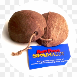 Spamalot Coconut Halves - Spamalot Coconuts, HD Png Download