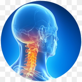 Symptoms Of A Whiplash Injury - Sphere, HD Png Download