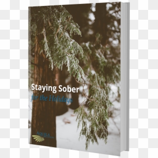 Get Your Free Ebook Now - Green Leaves In Snow, HD Png Download